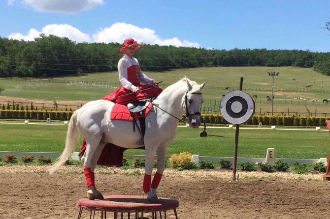 Horse Show, Lunch, Carriage Ride, Palace Visit Private Near Bp - Good To Know
