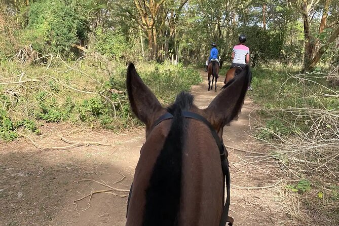 Horseback Experience at Karura Forest - Good To Know