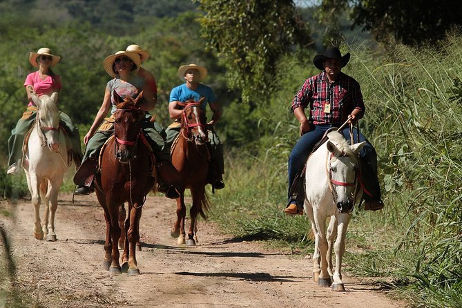 Horseback Riding At Recanto Do Peao - Good To Know