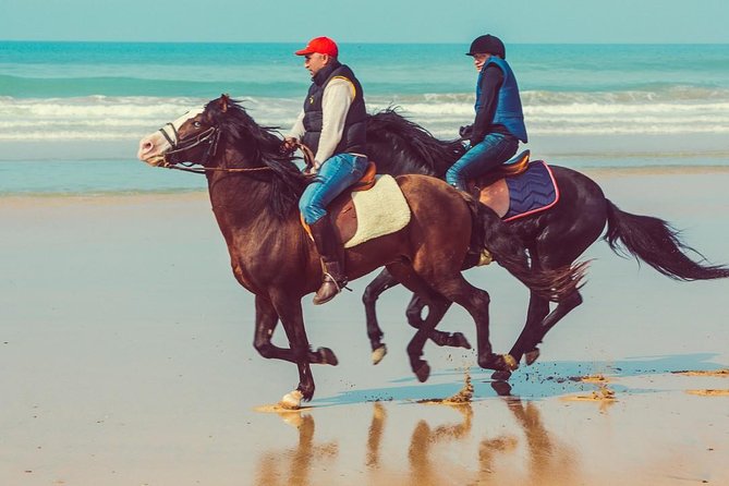 Horseback Riding: EL GHANDOURI – Tangier – 2 Hours