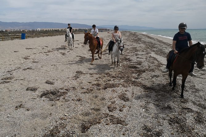 Horseback Riding on the Beach in Roquetas De Mar