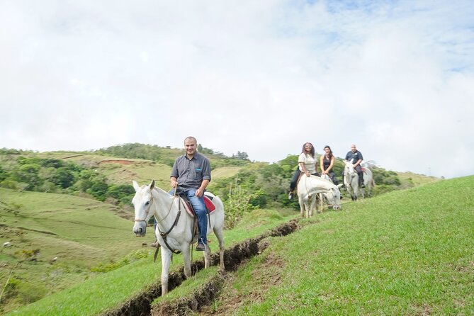 Horseback Riding Tour Plus Coffee Tour 3 in 1 (Coffee Chocolate and Sugar Cane) - Good To Know
