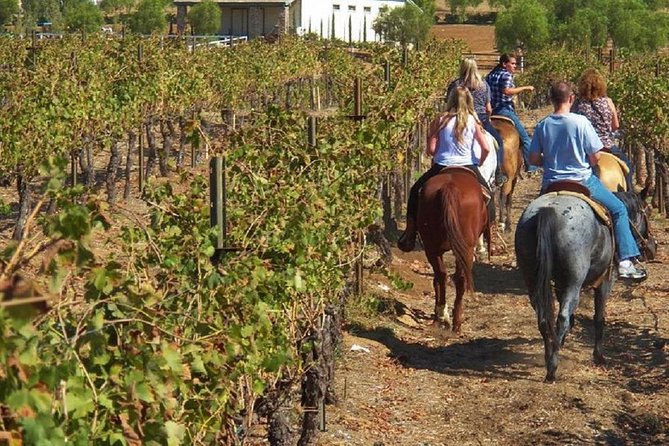 Horseback Ridings and Wine Tastings in a Winery of San Gimignano - Activity Overview