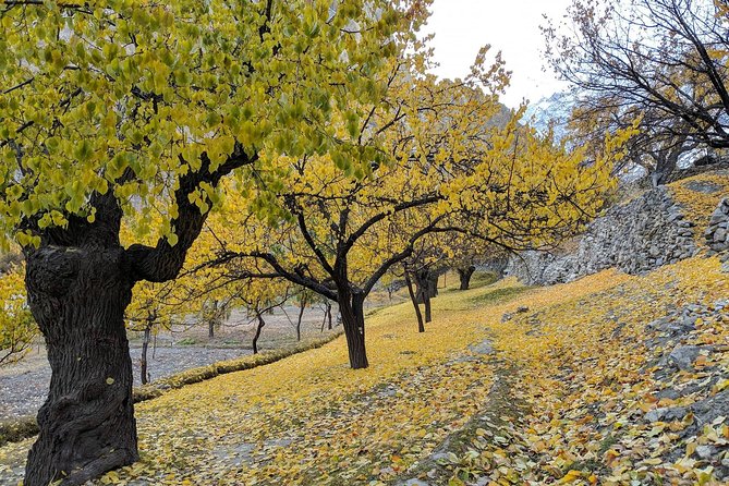 Hunza Autumn Tour - Good To Know