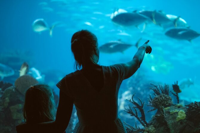 Hurghada Grand Aquarium Includes Tickets and Transportation - Good To Know