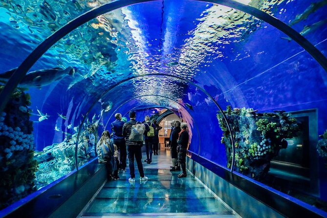 Hurghada Grand Aquarium Tour With Skip the Line Ticket - Good To Know