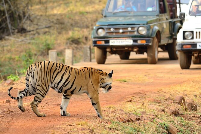 Incredible Wildlife Safari - Good To Know