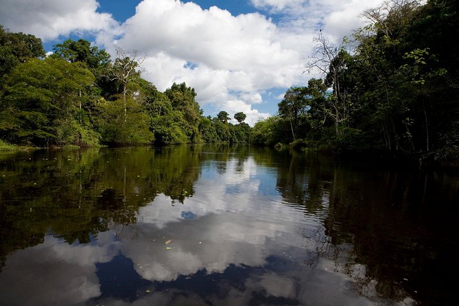 Iquitos Transfer From Cruise Port to Hotels - Good To Know