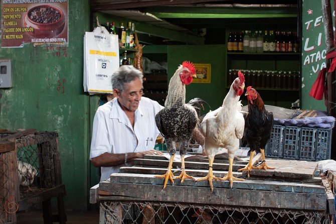 Ivan Bahia, Salvador Da Bahia, a Charming Social Tour Tour, to Meet Locals - Good To Know