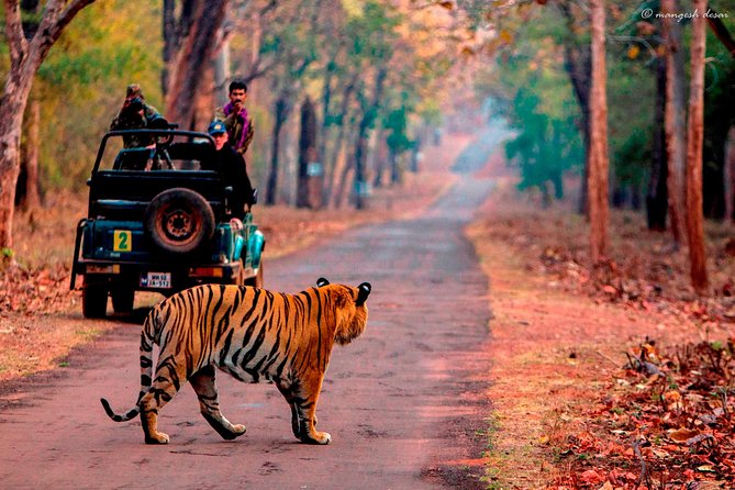 Jaipur: Private Transfer To/From Sawai Madhopur