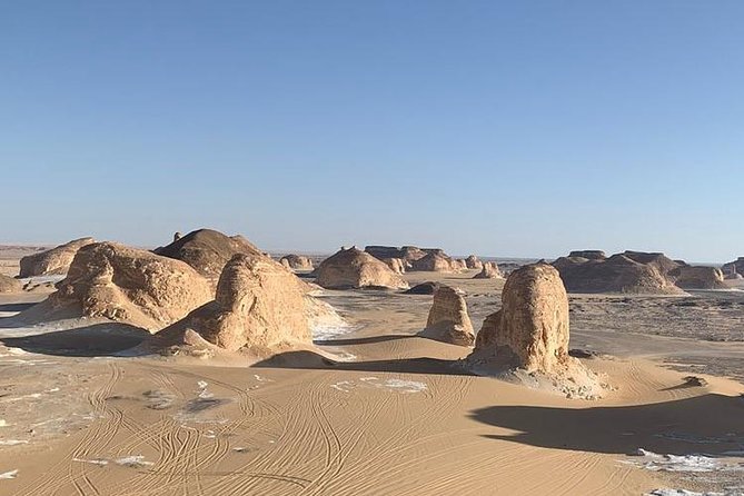Jeeb Safari Tour to Fayoum Oasis From Cairo - Good To Know
