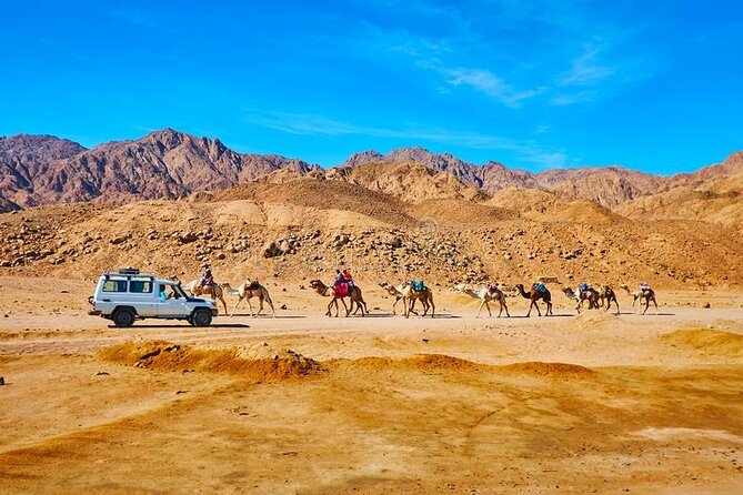 Jeep and Camel Safari 2 Days and 1 Night From Dahab - Good To Know