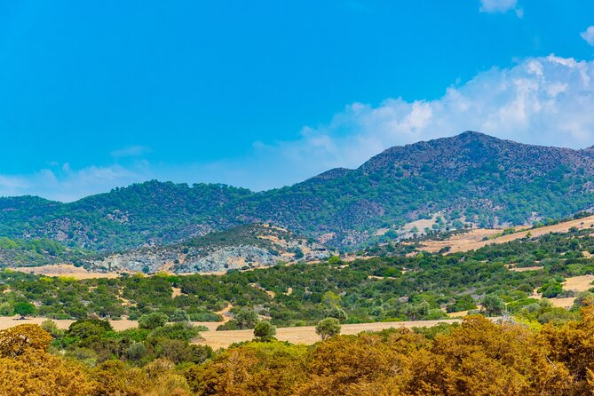 Jeep Safari to Akamas National Park: Private Tour From Paphos - Transportation Details