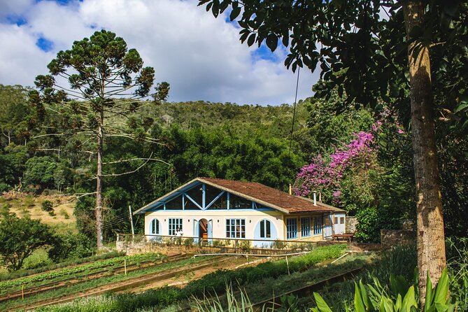 Jeep Tour - Petrópolis / RJ - Ecotourism, Waterfall and Tastings - Good To Know