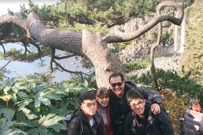 Jeju Island Taxi Tour : South Day Tour - Good To Know