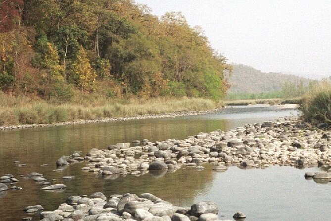 Jim Corbett With Nanital Tour - Good To Know