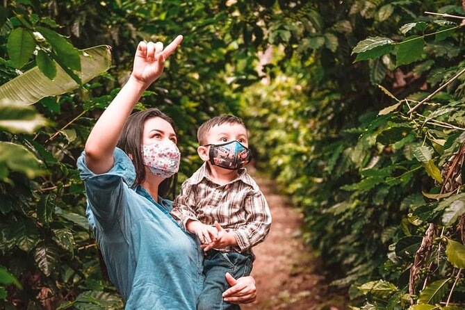 Join an Authentic Coffee Tour at a Coffee Plantation - Half Day Tour From Coban - Good To Know