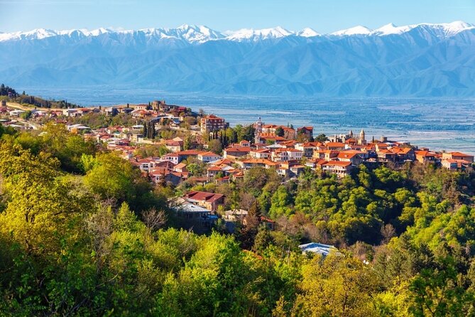 Kakheti Private Tour to Sighnaghi, Bodbe and Kvareli From Tbilisi - Good To Know