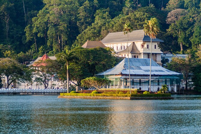 Kandy Day Tour With Tea Factory Visit From Negombo - Good To Know