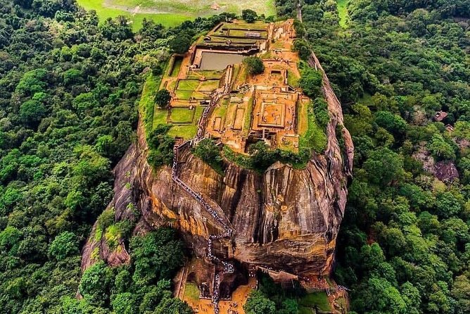 Kandy - Minneriya National Park & Sigiriya Rock Fortress - Driver and Transport