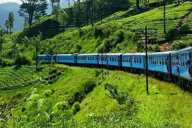 Kandy to Badulla Train Ride on (Train No: 1005 Podi Menike) - Good To Know