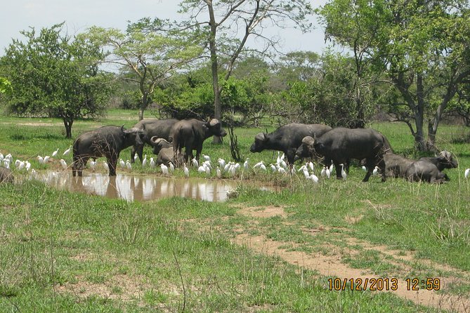 Kanzwa Short Holiday Break -2 Nights Safari Kafue National Park Central Region - Good To Know
