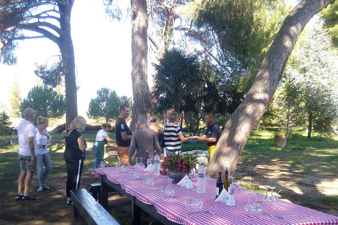 Katakolon Shore Excursion: Private Wine-Tasting Tour of Mercouri Estate Winery - Good To Know