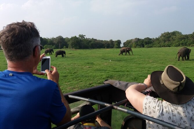 Kaudulla National Park - Private Safari From Sigiriya