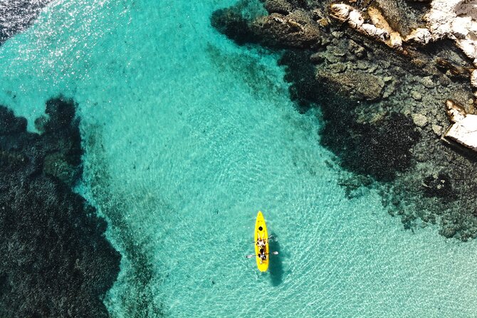 Kayak Tour in Golfo Aranci Including Snack and Dolphin Sighting - Good To Know