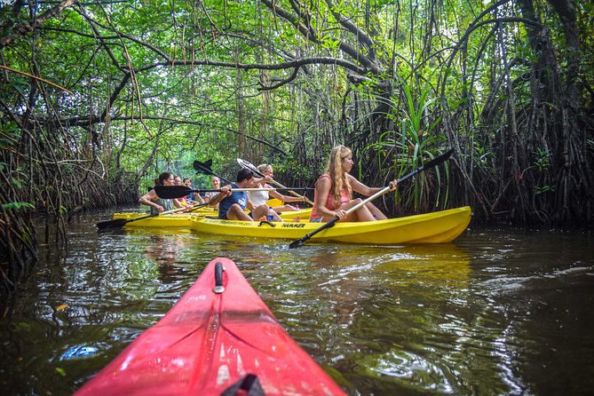 Kayaking From Ahungalla - Good To Know