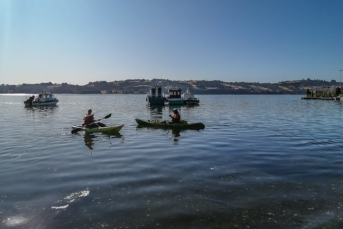 Kayaking in Chiloé Island - Good To Know