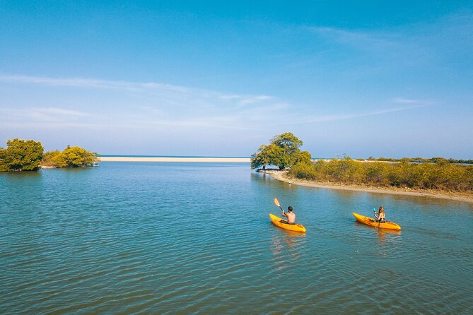 Kayaking in Kalpitiya Lagoon - Good To Know