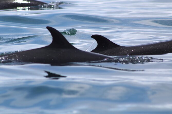Kayaking & Snorkeling Challenge - Mogos, Puerto Jimenez - Good To Know