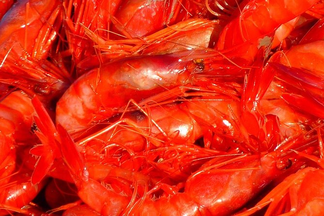 Kerala Sea Food Trail: An Excursion To Cherai Beach With Seafood Lunch - Location and Meeting Point