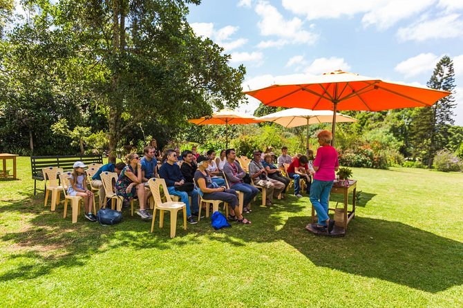 Kiambethu Tea Farm Tour From Nairobi With Lunch - Good To Know