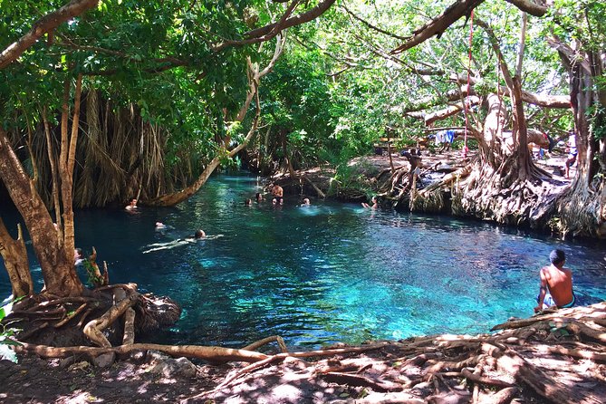 Kikuletwa Hot Springs - Day Trip - Good To Know