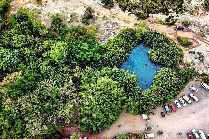 Kikuletwa Hot Springs - Good To Know