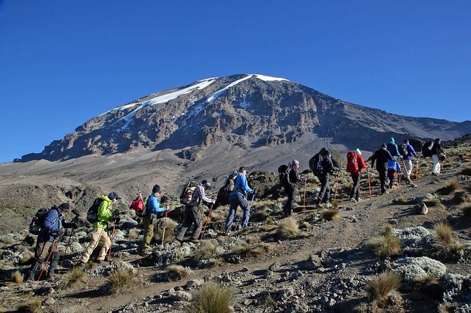Kilimanjaro Climb - 8 Days Lemosho Route - Good To Know