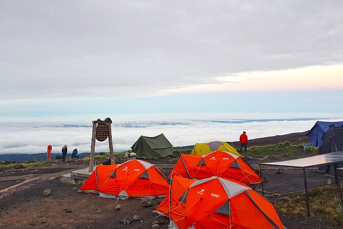 Kilimanjaro Climbing Tours via Northern Circuit- 10 Days - Good To Know