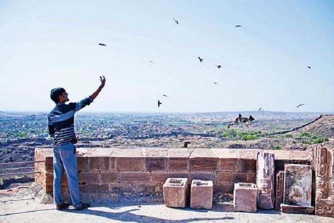 Kite Feeding Experience at Mehrangarh Fort, Jodhpur - Good To Know