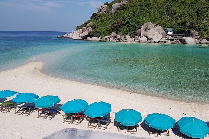 Koh Tao and Koh Nangyuan Premium Trip By Speedboat From Koh Samui - Good To Know