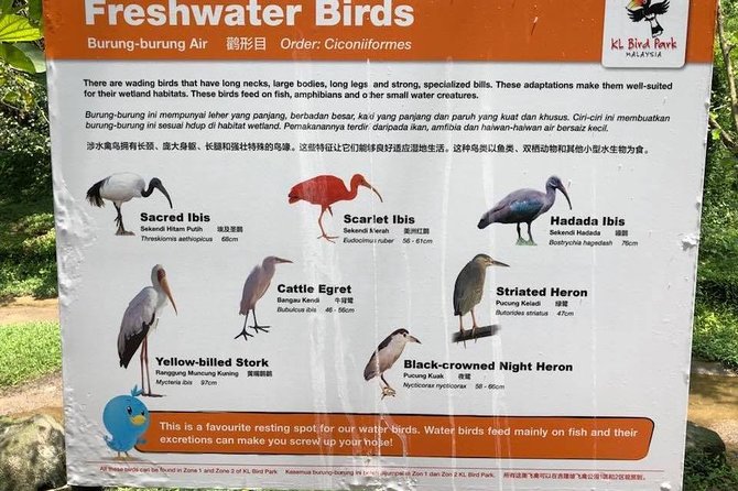 Kuala Lumpur Nature Tour- Butterfly Park, Orchid Garden, and Bird Park - Good To Know