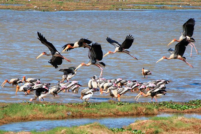 Kumana National Park Tour From Galle - Good To Know
