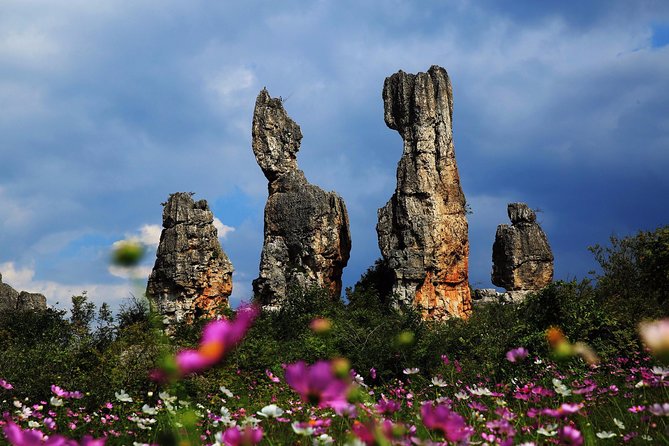 Kunming Private Day Tour to Stone Forest and Chengzi Ancient Town - Good To Know