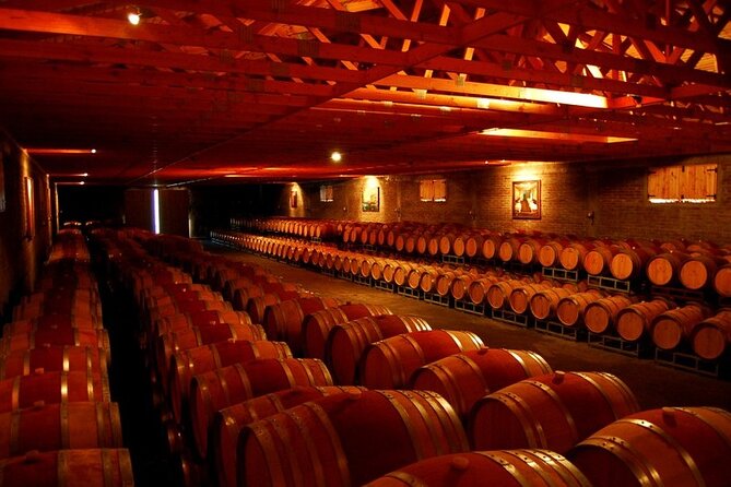 Laguna Del Inca Portillo and Viña San Esteban Private Tour With Wine Tasting - Good To Know