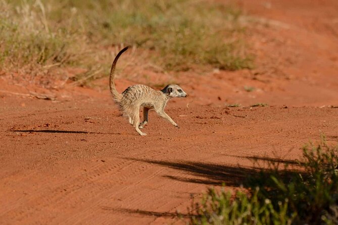 Lake Eyasi and Ngorongoro Crater Tour From Arusha - Good To Know