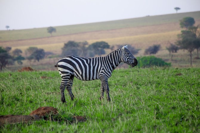 LAKE MBURO 2 Day Safari - Good To Know