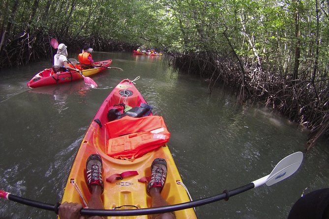 Langkawi Mangrove Kayaking Experience With Lunch - Good To Know