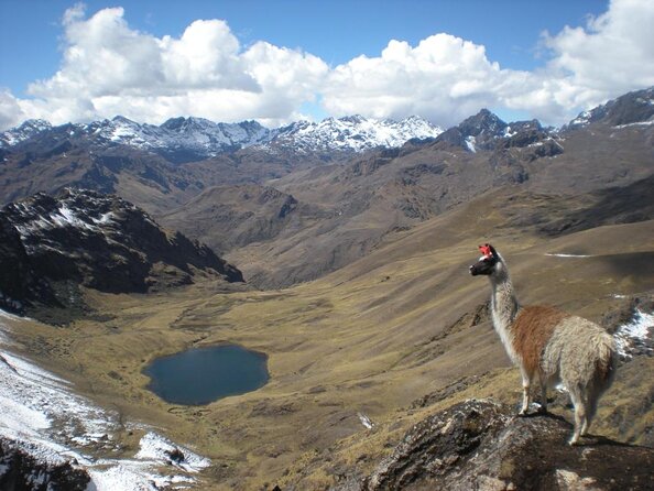 Lares Trek to Machu Picchu 4 Days - 3 Nights - Good To Know