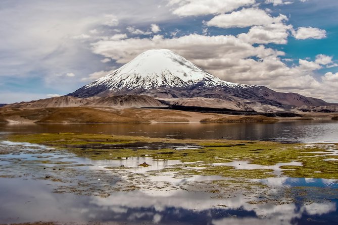 Lauca National Park 2D / 1N Arica - Putre - Lake Chungará - Arica - Good To Know